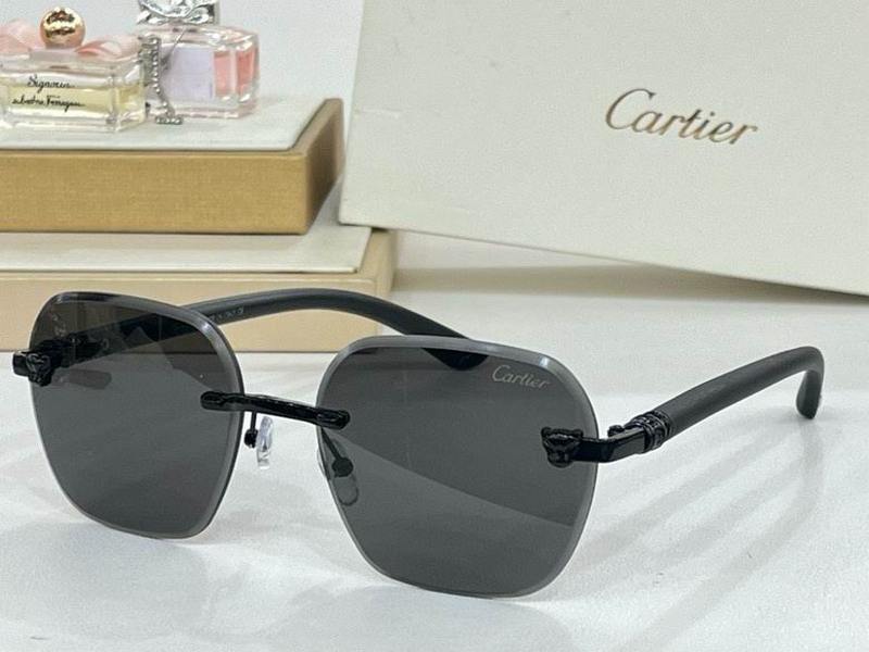 Cartier Sunglasses 153